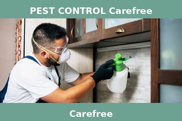 PEST CONTROL Carefree